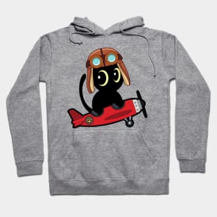 Cute black cat is in a vintage plane Hoodie